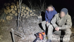 В Волновахском районе разоблачили «черных» лесорубов (фото)