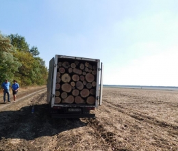 В Донецкой области задержали псевдолесорубов