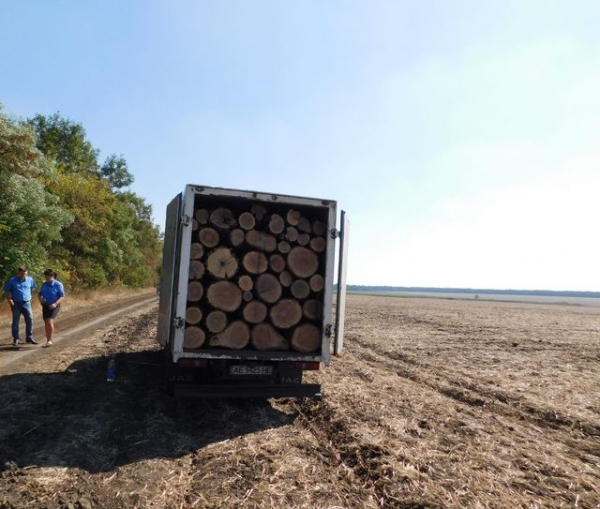 В Донецкой области задержали псевдолесорубов