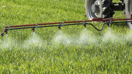 Причіпний обприскувач чи самохідний: особливості, плюси та мінуси, що краще і для чого