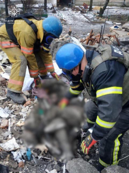 В поселке Нью-Йорк на месте удара авиабомбой завершились поисковые работы