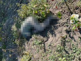 В результате вражеского обстрела Черкасского погибли три человека