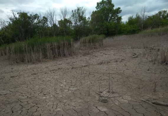 В сети показали первые последствия остановки откачки воды на шахте «Юнком» (фото)