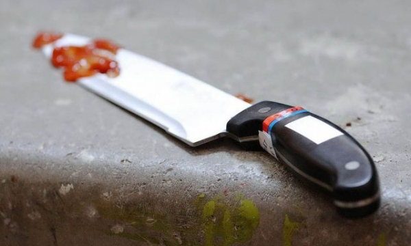 Зверское убийство пенсионеров в Снежном – причиной стали деньги