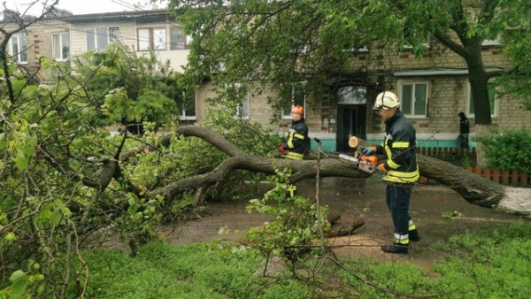 Последствия непогоды на Донетчине ликвидировали спасатели и энергетики