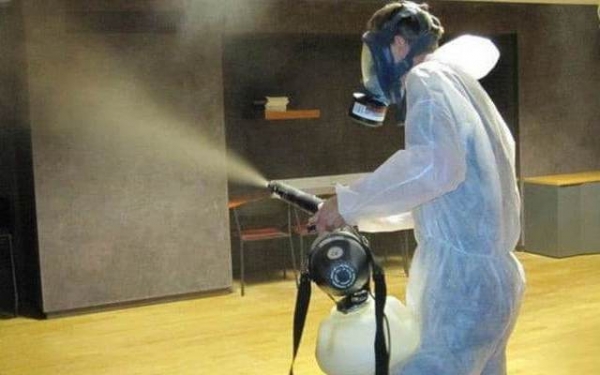 Как бороться с тараканами и какие методы использовать?