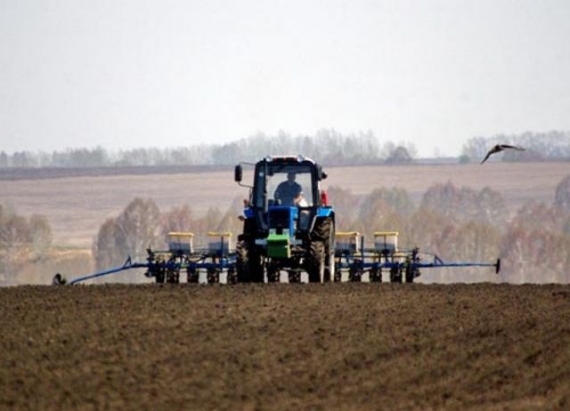 В «ДНР» у фермеров отбирают земельные участки и урожай