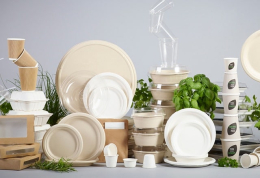 Одноразовая посуда для HoReCa: виды, особенности, современные тенденции