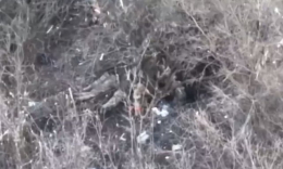 Россияне снова расстреляли украинских военнопленных