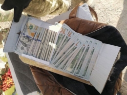 Женщина при помощи той-терьера перевозила валюту на территорию ОРДО