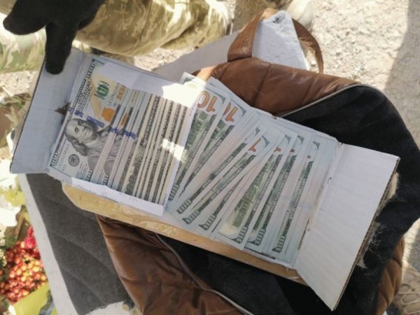 Женщина при помощи той-терьера перевозила валюту на территорию ОРДО