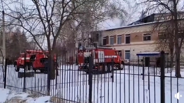 В Святогорске на территории базы отдыха произошел пожар (видео)