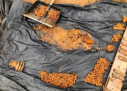 На дне колодца пограничники нашли почти 1 000 патронов