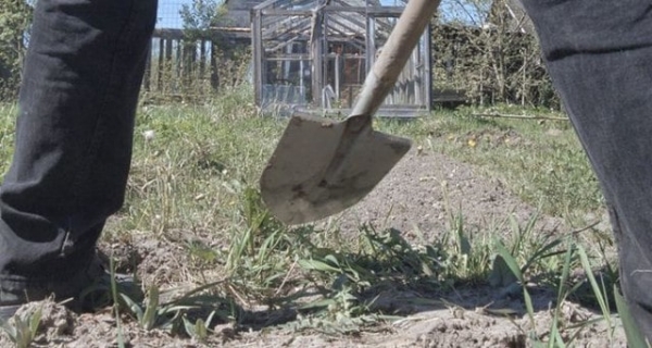 18-летний парень подорвался во время работы на огороде