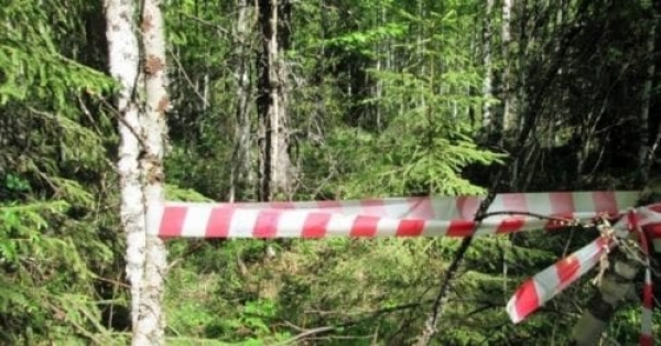 В Краматорске в лесопосадке нашли повешенным мужчину