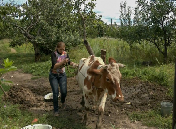 Волонтеры эвакуировали многодетную семью - вместе с живностью