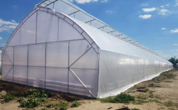 Установка автоматических форточек в теплице: варианты и особенности