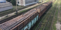 Одесские и донецкие предприниматели пытались ввезти 40 вагонов леса в «ДНР»