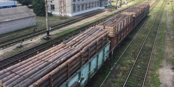 Одесские и донецкие предприниматели пытались ввезти 40 вагонов леса в «ДНР»