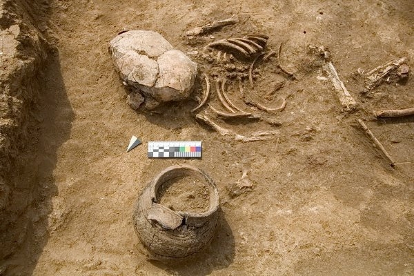 Археологи обнаружили захоронение «железного» века