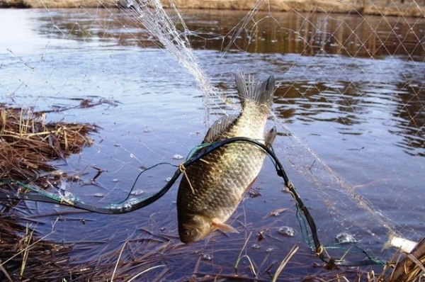 Пограничники обнаружили рыболова-браконьера