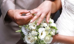Брак за 24 часа: еще три города Донецкой области присоединятся к проекту