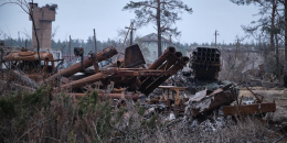 18 тысяч гектар леса НПП «Святые горы» повреждены в результате войны РФ в Украине